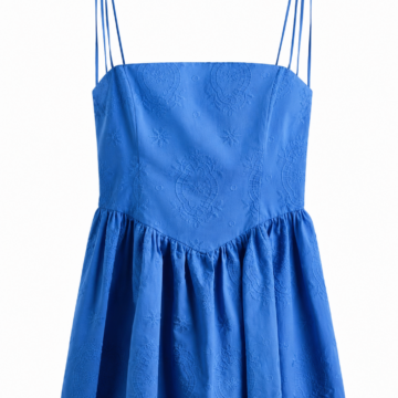 Bright Blue Embroidered Fit and Flare Mini Dress